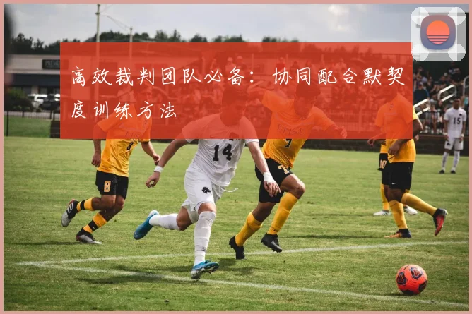 高效裁判团队必备:协同配合默契度训练方法